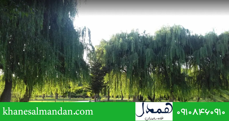 پارک آزادگان